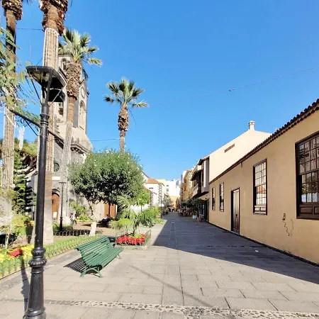 7 Esquivel 公寓 *